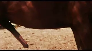 Porn დენ fart ახალგაზრდა.