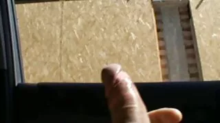 იგი იღებს alfach in ass.