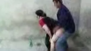 გაიცანი სხვა dildo.
